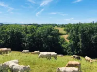 Maison de Campagne Entièrement Rénovée en Pleine Nature Gersoise Hotels in Simorre