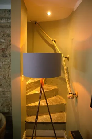 A Forest Cottage at the centre of woodlands bike trails and much more.