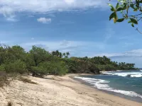 Classic jungle cabin minutes from the beach surrounded by beautiful nature