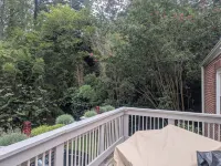 Holly Hill..  3-bedroom home in Historic Gastonia private yard 20min to Airport