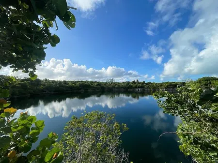 Old Mizp - A Charming Escape Отели в г. Рок Саунд