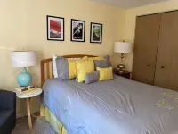 Cozy, Stylish 3-Bedroom Mid-Century Chalet in Pocono Pines' Lake Naomi