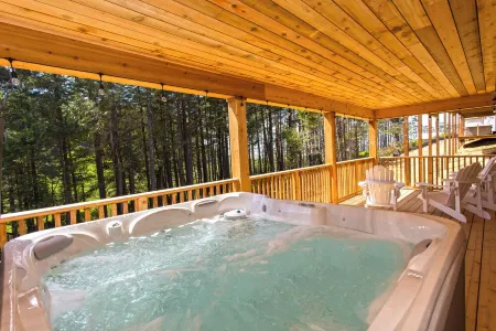 Memory Lane Seabrook-Ocean View-3pm In&Out-Pet Friendly-hot tub