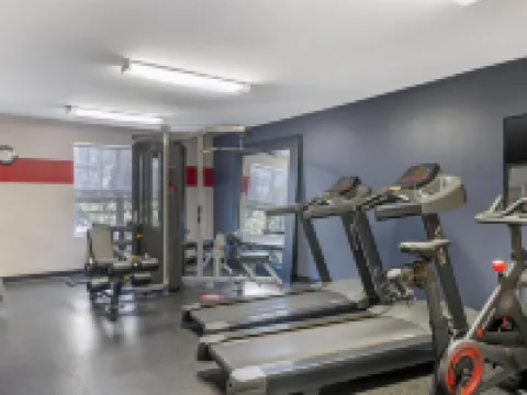 Best Western Plus Woodstock Hotel  Conference Centre โรงแรมในCarleton County