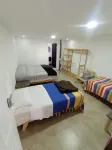 Iguana Coliving