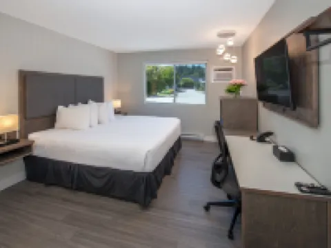 鯨灣度假村 錫謝爾特酒店