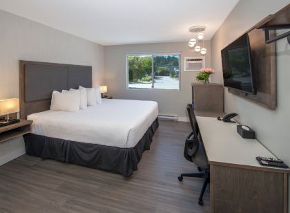 The Spot at Porpoise Bay