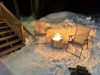 Talkeetna Tiny House Cabin Aspen Fire-pit/ski/bike/multi-use trails - Chalets