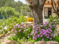 Casa Dina - Villa With Private Pool In Es Mercadal