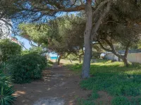 Villa Canta - House In Platja De Muro. Free Wifi