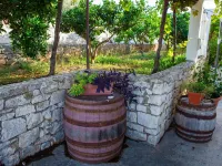 Apartments Lenka - One Bedroom Apartment with Balcony and garden View A2 - Wifi