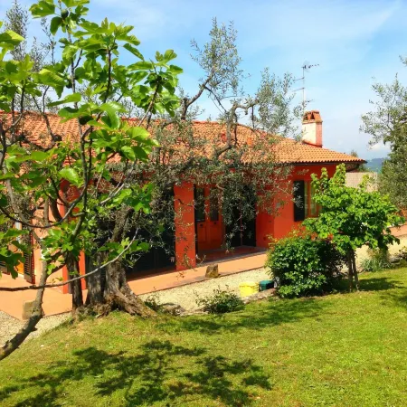 Getaway Amidst Vineyards