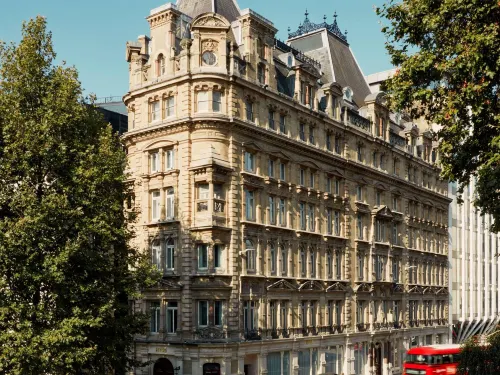 Hyde London City - Pet friendly