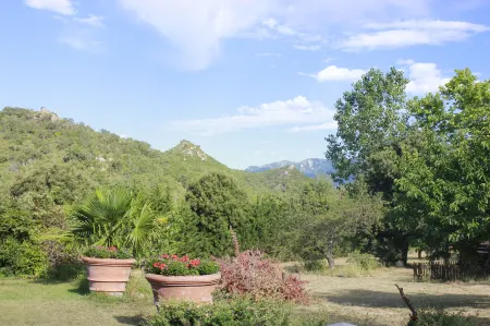 Masia Mimosa Completa