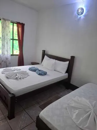 Cabinas Tortuguero Natural