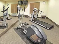 Holiday Inn Express & Suites MOUNTAIN HOME by IHG - Gym