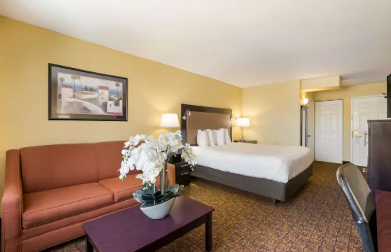 埃斯孔迪多貝斯特韋斯特酒店