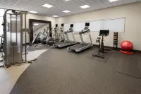 Hilton Garden Inn Memphis Wolfchase Galleria - Fitnessstudio