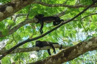 2BR - 2BTH Beach House w/ Pool