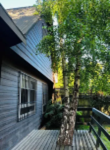 Cabañas Los Laureles - Lican Ray