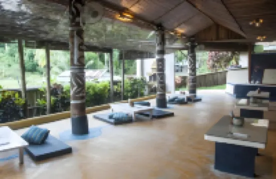 The Forest Elephant - Formerly Known As the Flying Elephant - Homestays