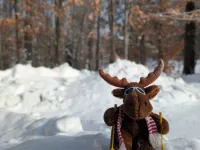 Loose Moose Lodge – Family Chalet, Fireplace, Ski! Hotels in Glen