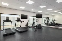 Holiday Inn Express & Suites NACOGDOCHES SOUTHWEST by IHG - Gym