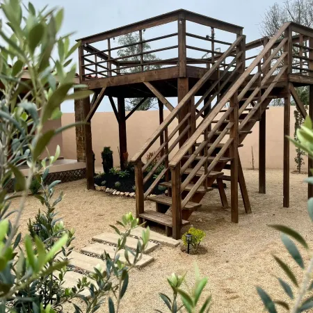 Terra Videira