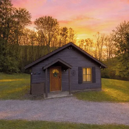 Mountain Cabin- Fallingwater/Ohiopyle/State Parks