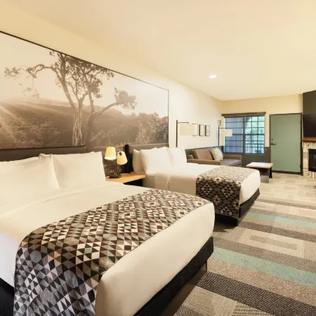 Mountain Modern Sedona, Tapestry Collection by Hilton