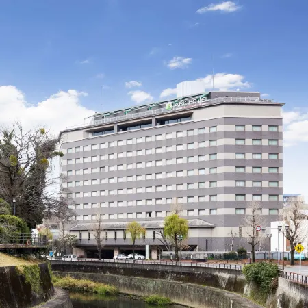 Ark Hotel Kumamotojo Mae -Route Inn Hotels-