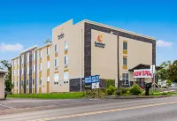 Comfort Inn & Suites Harrisburg - Hershey West - breakfast