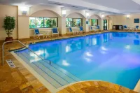 Four Points by Sheraton Suites Tampa Airport Westshore - bar