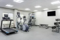 希爾頓歡朋飯店-蘇福爾斯市 - 健身房