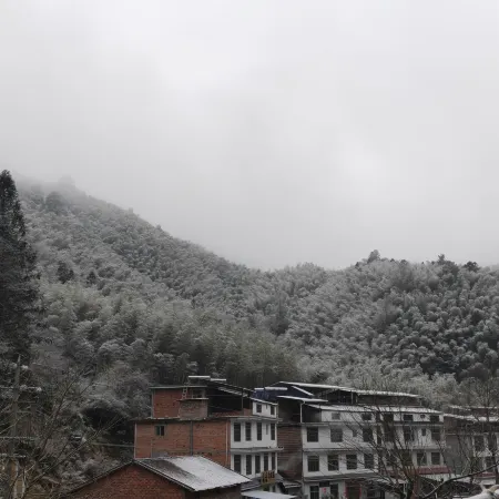 Shennonggu Wuhu Mountain Villa