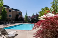Best Western Plus Olympic Inn - Pools
