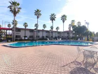 Ramada by Wyndham Davenport Orlando South Hotels in Davenport