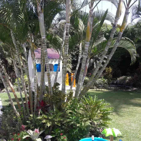 Cuernavaca Beautiful and Spacious House