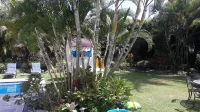 Cuernavaca Beautiful and Spacious House