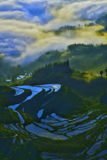 雲和豐韻農家
