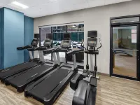 Hampton Inn & Suites Chicago-Downtown - Phòng Gym