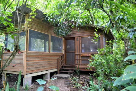 Licensed 2 Bedroom Cabin Close to San Ignacio, Local Dining, and Adventure Tours