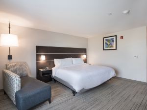 Holiday Inn Express & Suites Chicago - Hoffman Estates