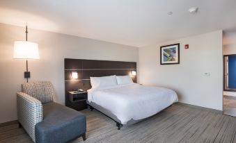 Holiday Inn Express & Suites Chicago - Hoffman Estates