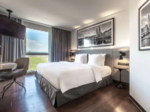 蘇黎世機場麗笙酒店 呂姆朗酒店