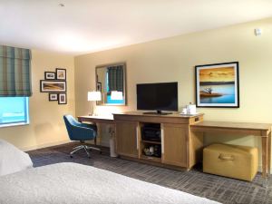 Hampton Inn Big Rapids