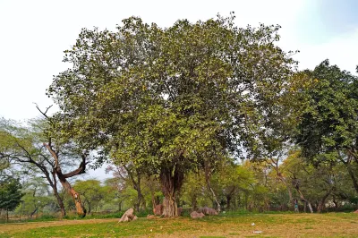 Frazyone Hostel Hotel di 