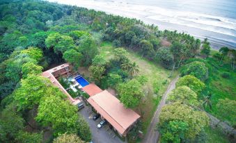 aerial view of a tropical resort with a swimming pool surrounded by lush greenery , trees , and a sandy beach at Hotel Playa Bejuco