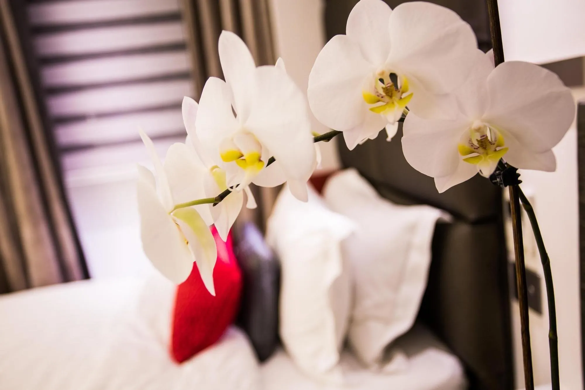 Henley House Hotel Rooms Photos