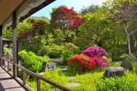 Matsunoi